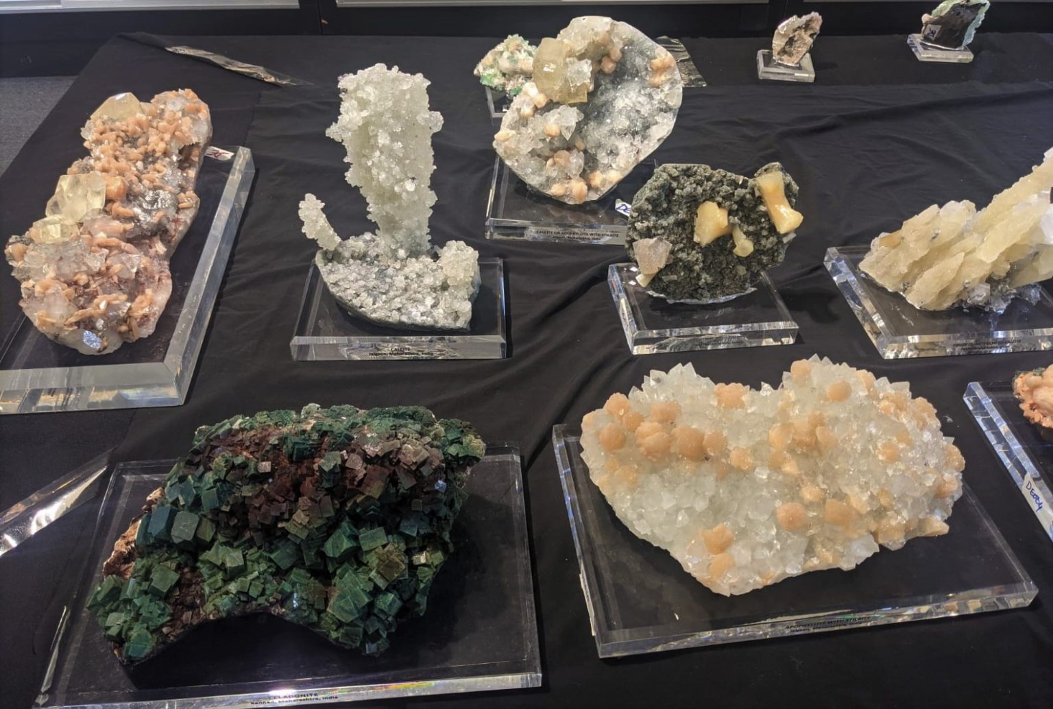 Tucson Gem, Mineral & Fossil Showcase Capin Vyborny